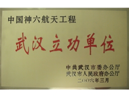 武漢市委、市人民政府表彰